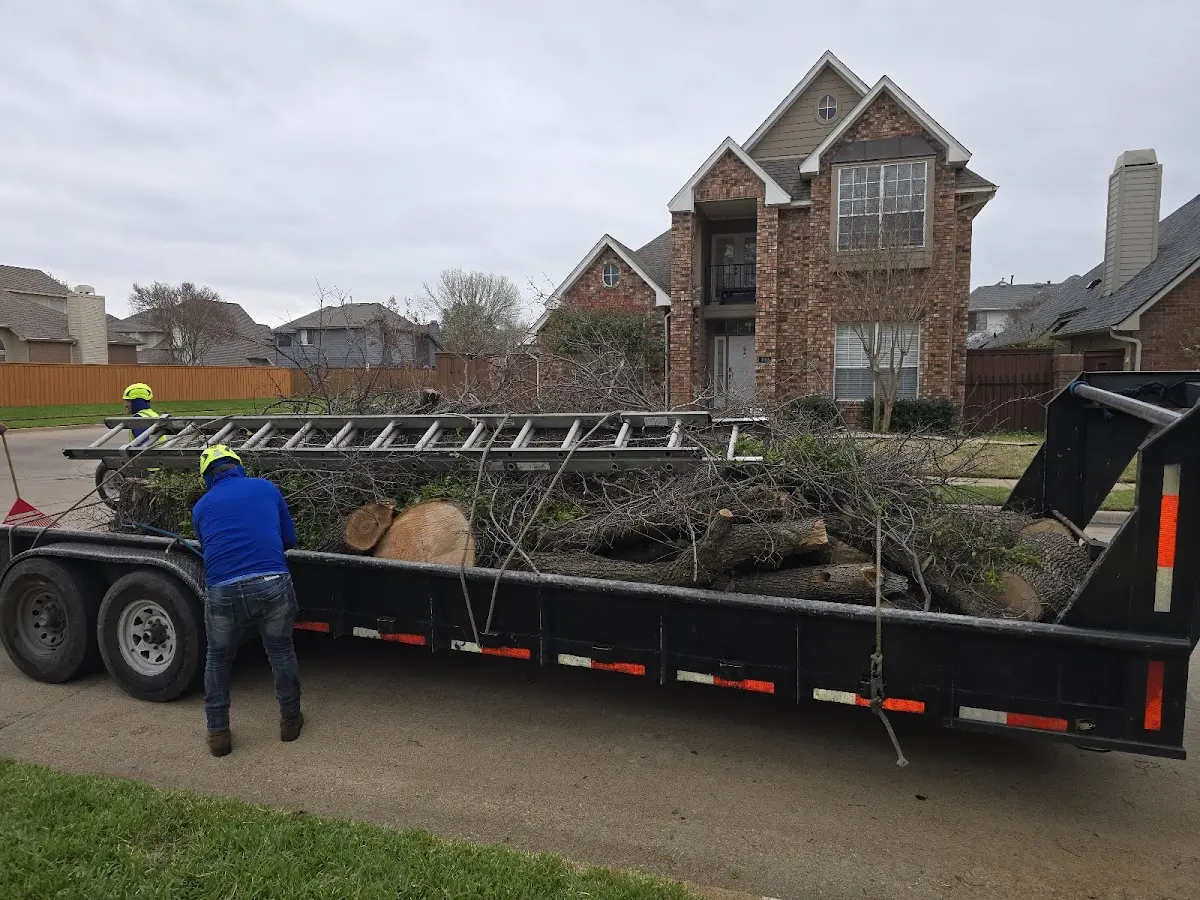 Expert Lot Clearing with proper safety equipment in Mcgregor